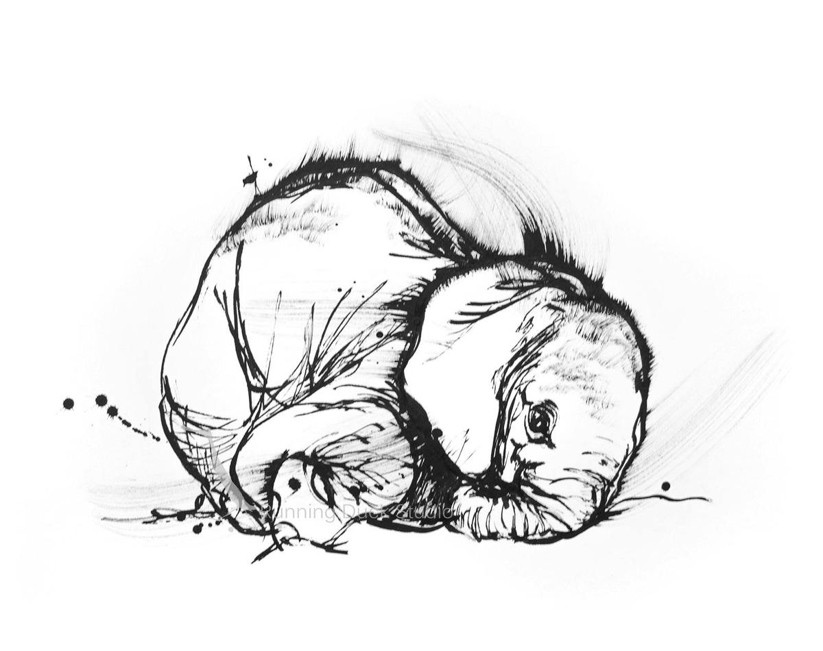 Bundle of Joy