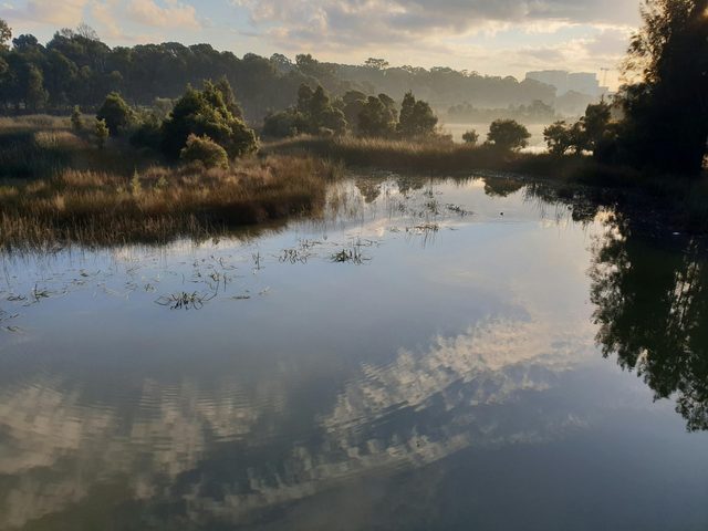 Narawang Wetland