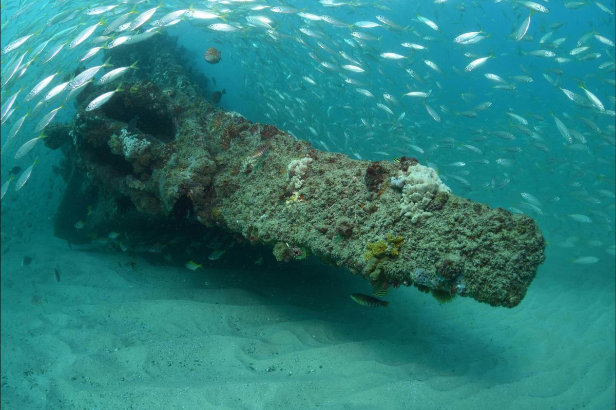 Scottish Prince Dive Site