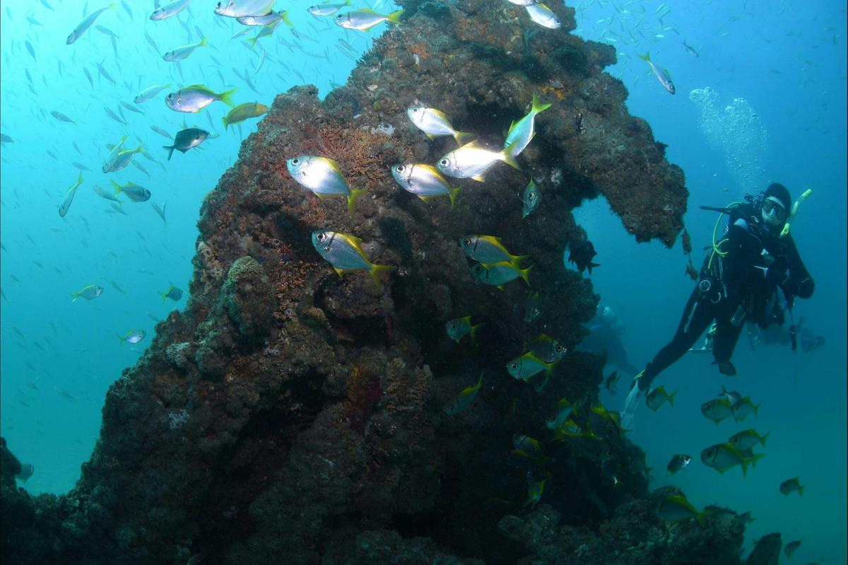 Scottish Prince Dive Site
