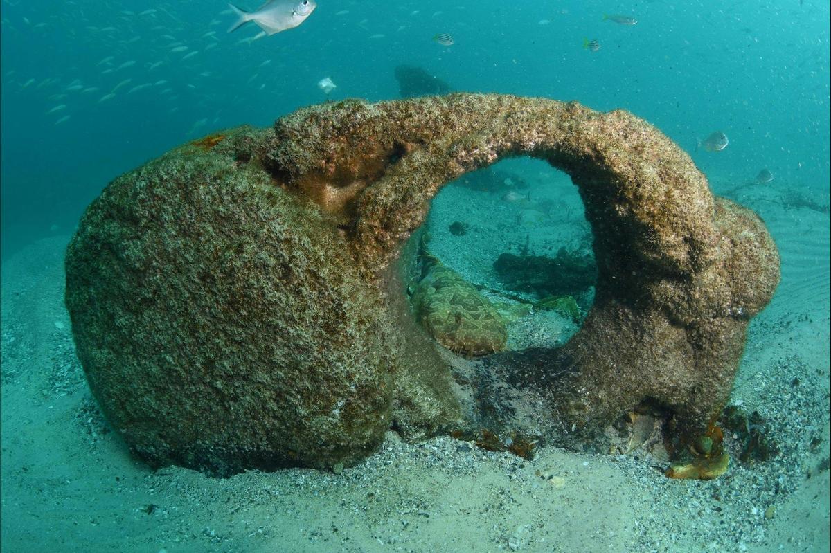 Scottish Prince Dive Site