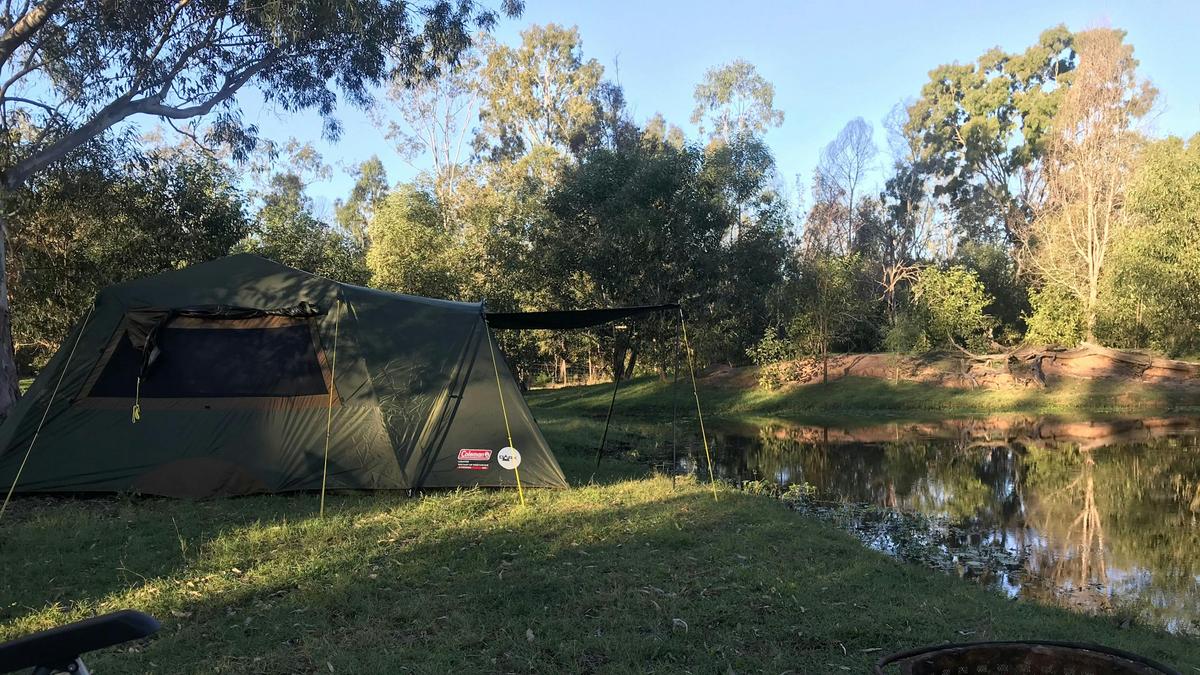 A Tent, A tree....what a life!