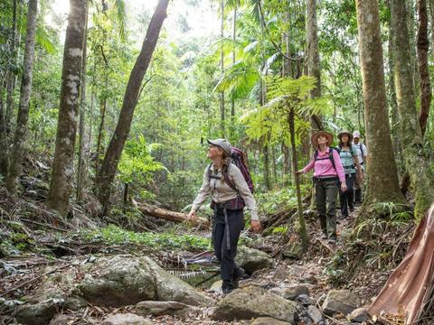 4 Day Walk