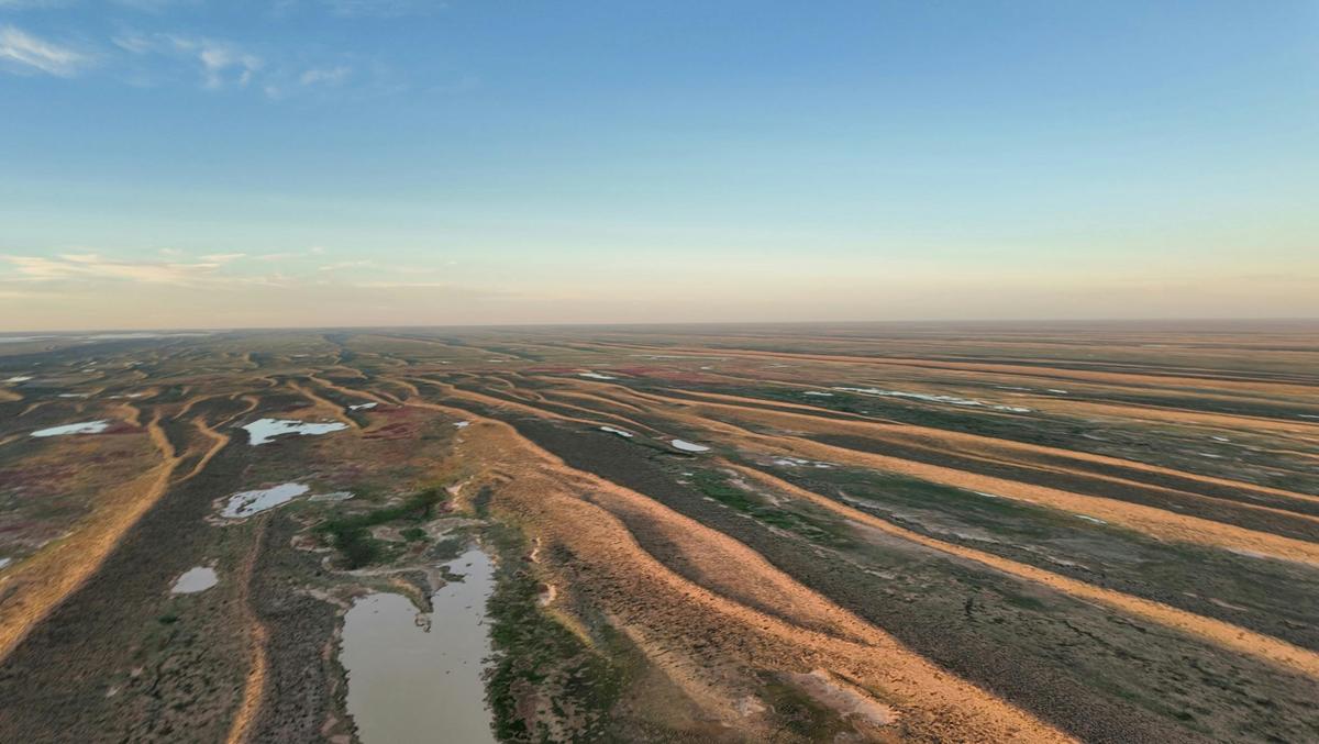 Aerial view of inland channels and floodplains near Lake Eyre, revealing the patterns of Australia’s