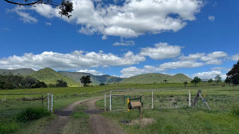 Sunnyvale Farm