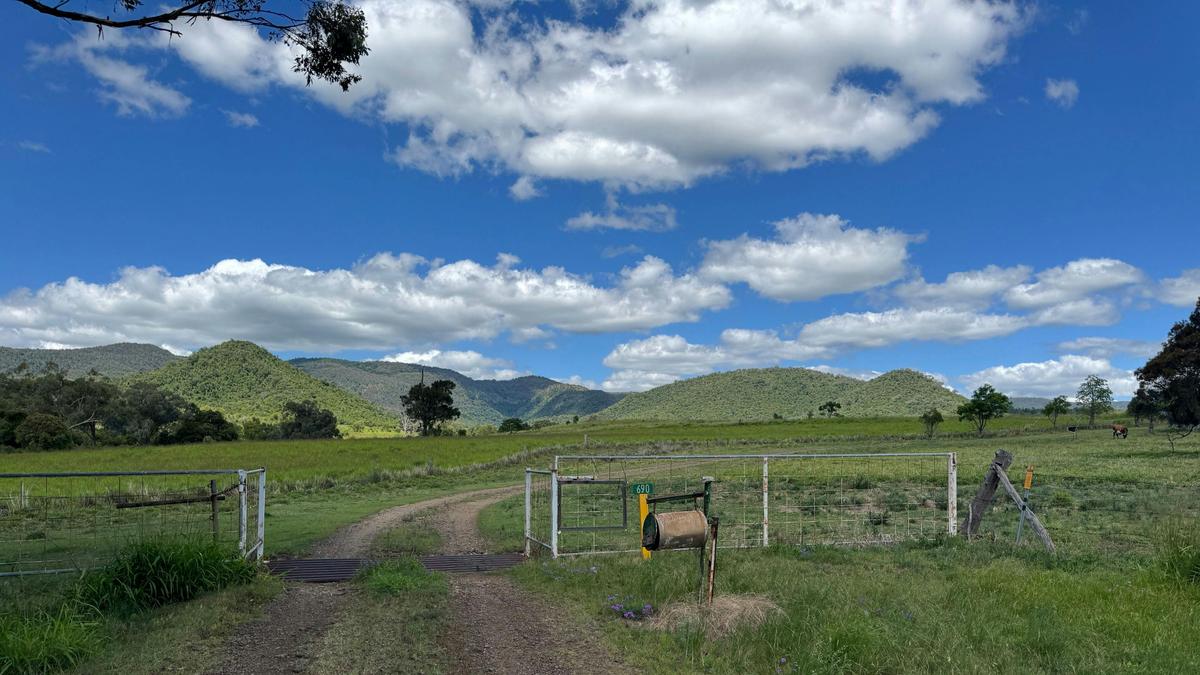 Sunnyvale Farm