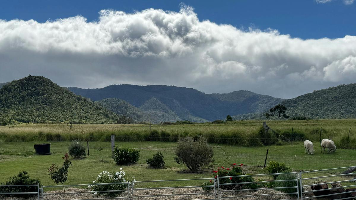 Sunnyvale Farm