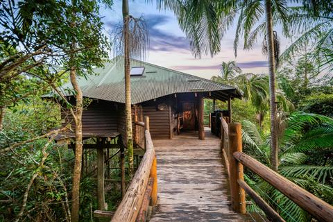 Penthouse Treehouses