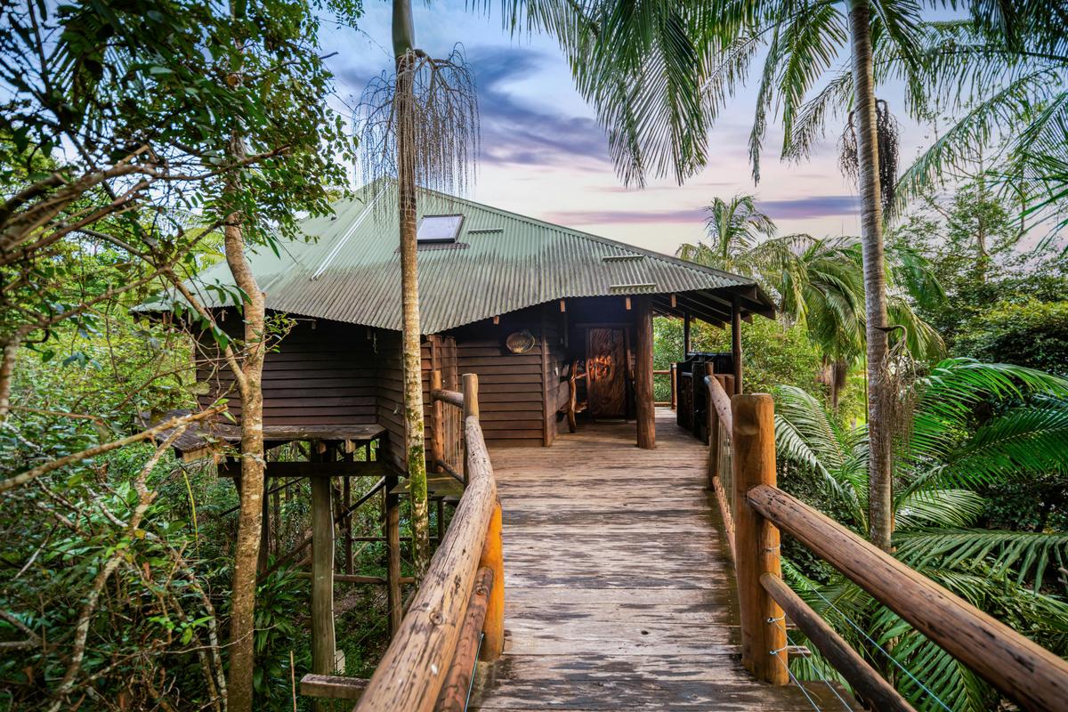 Penthouse Treehouses