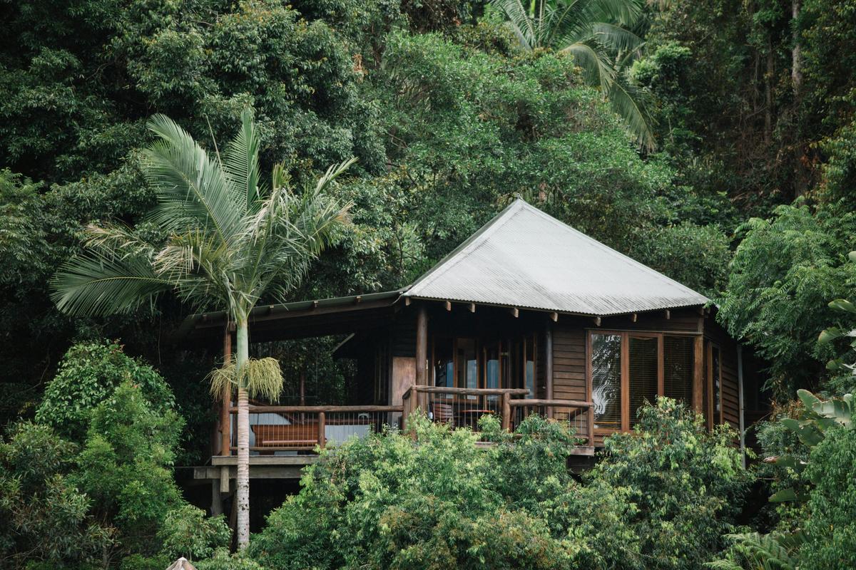 Luxury Treehouses