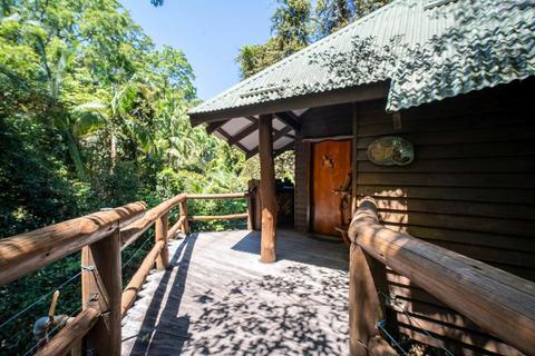 Luxury Treehouses