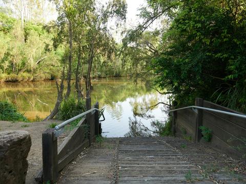 Shapcott Park