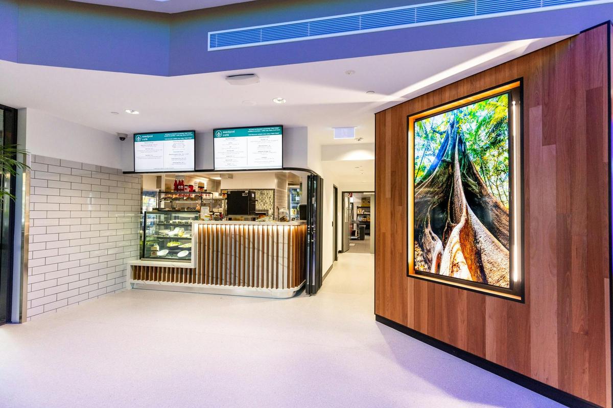 Seedpod Cafe Internal Counter