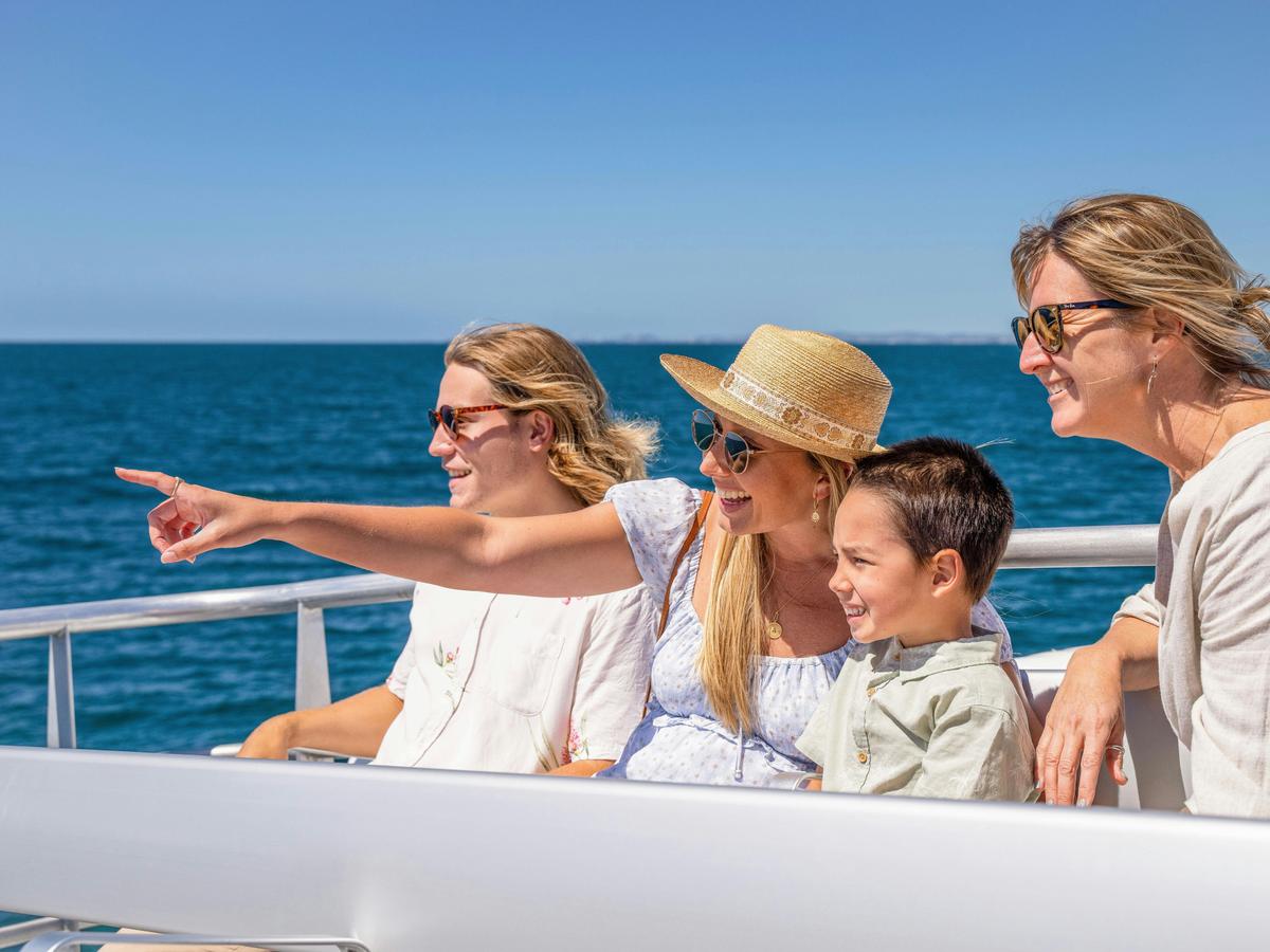 Whale Watching on the Gold Coast is a fun family day out!