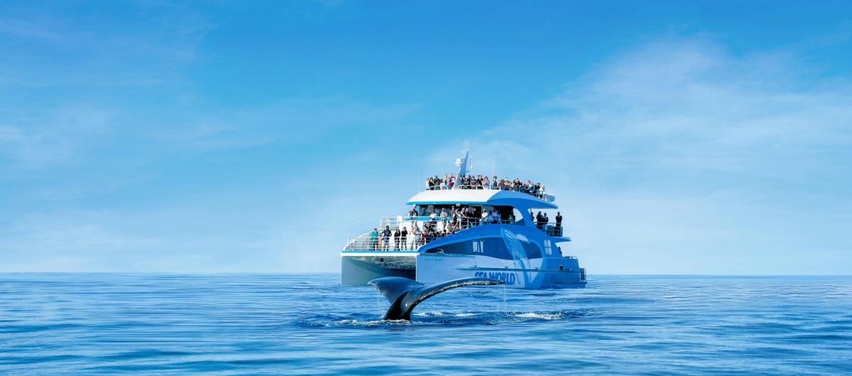 Whale Watching Cruise