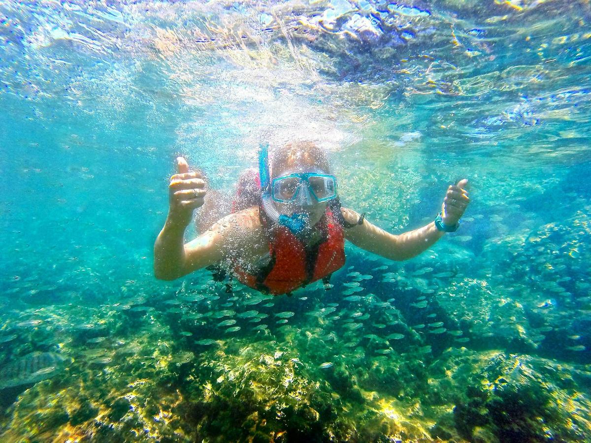 2.5Hrs Gold Coast Kayaking & Snorkelling Tour