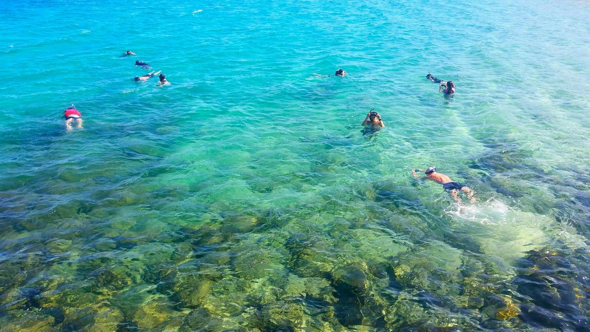 2.5Hrs Gold Coast Kayaking & Snorkelling Tour
