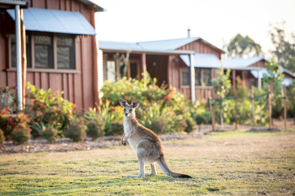 Spicers Hidden Vale local