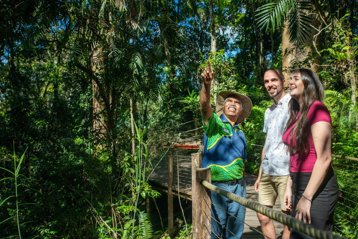 Explore the Ancient Rainforest with Skyrail Rainforest Cableway