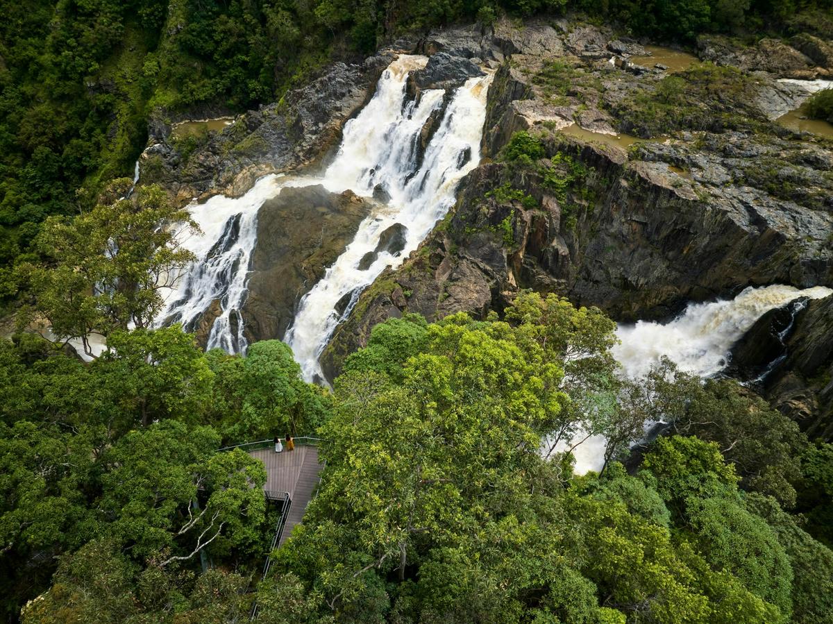 Kuranda to Barron Falls Loop Experience