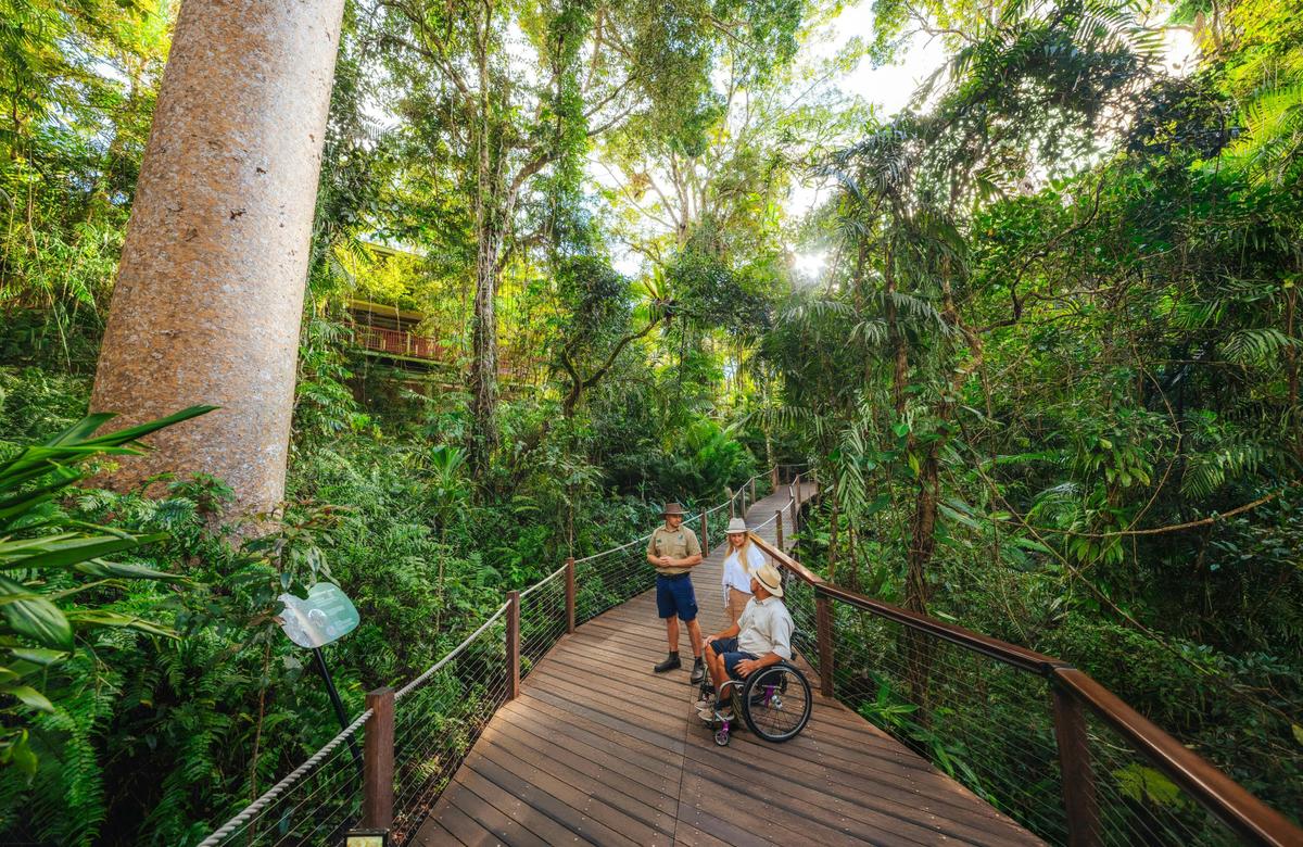 Explore the Ancient Rainforest with Skyrail Rainforest Cableway