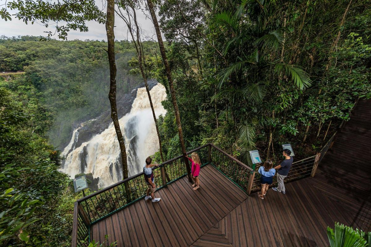 Explore the Ancient Rainforest with Skyrail Rainforest Cableway