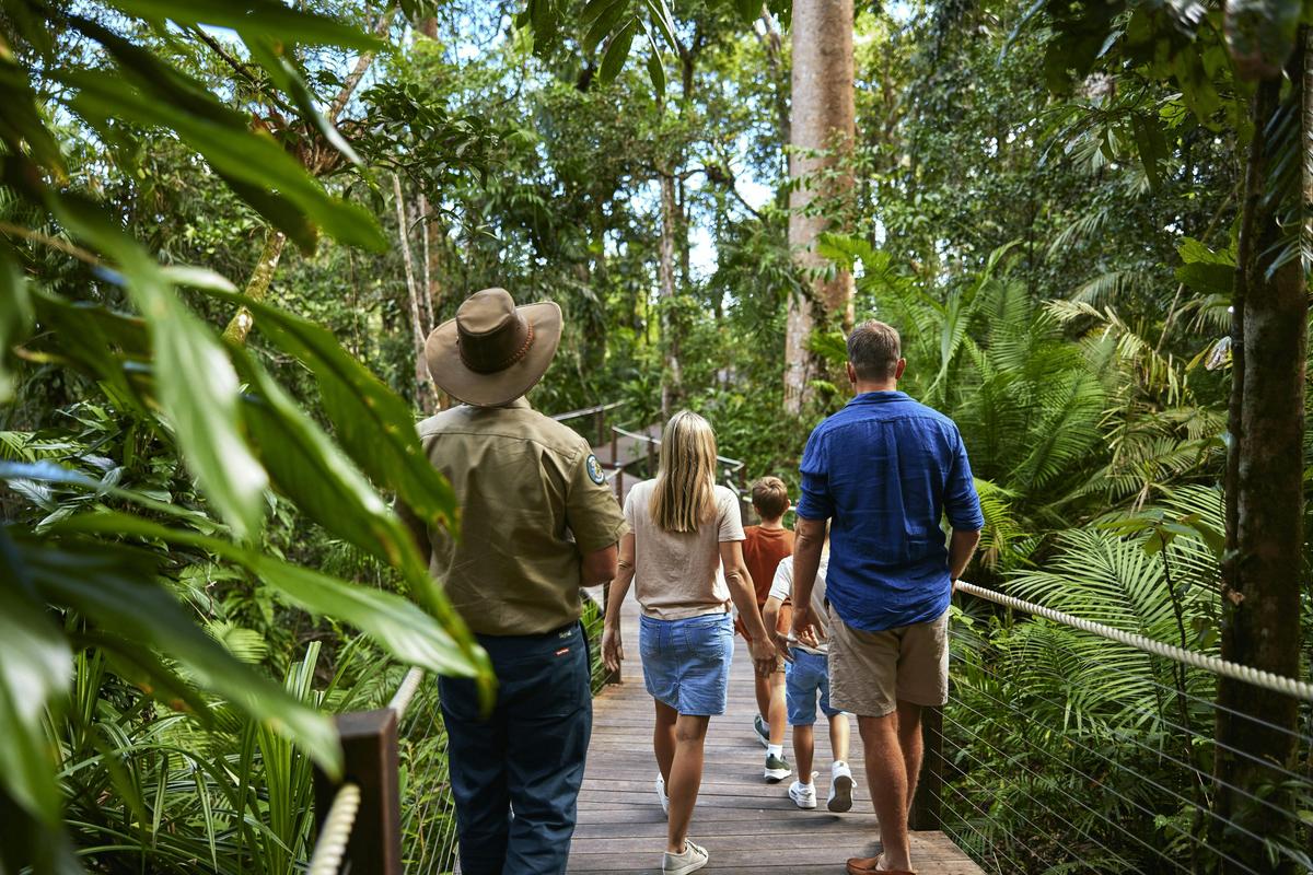 Meet a Skyrail Ranger on your experience, and listen to their stories of the ancient rainforest