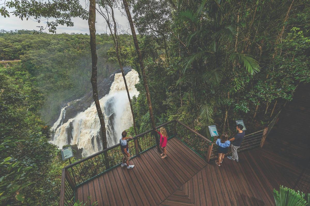 Kuranda to Barron Falls Loop Experience