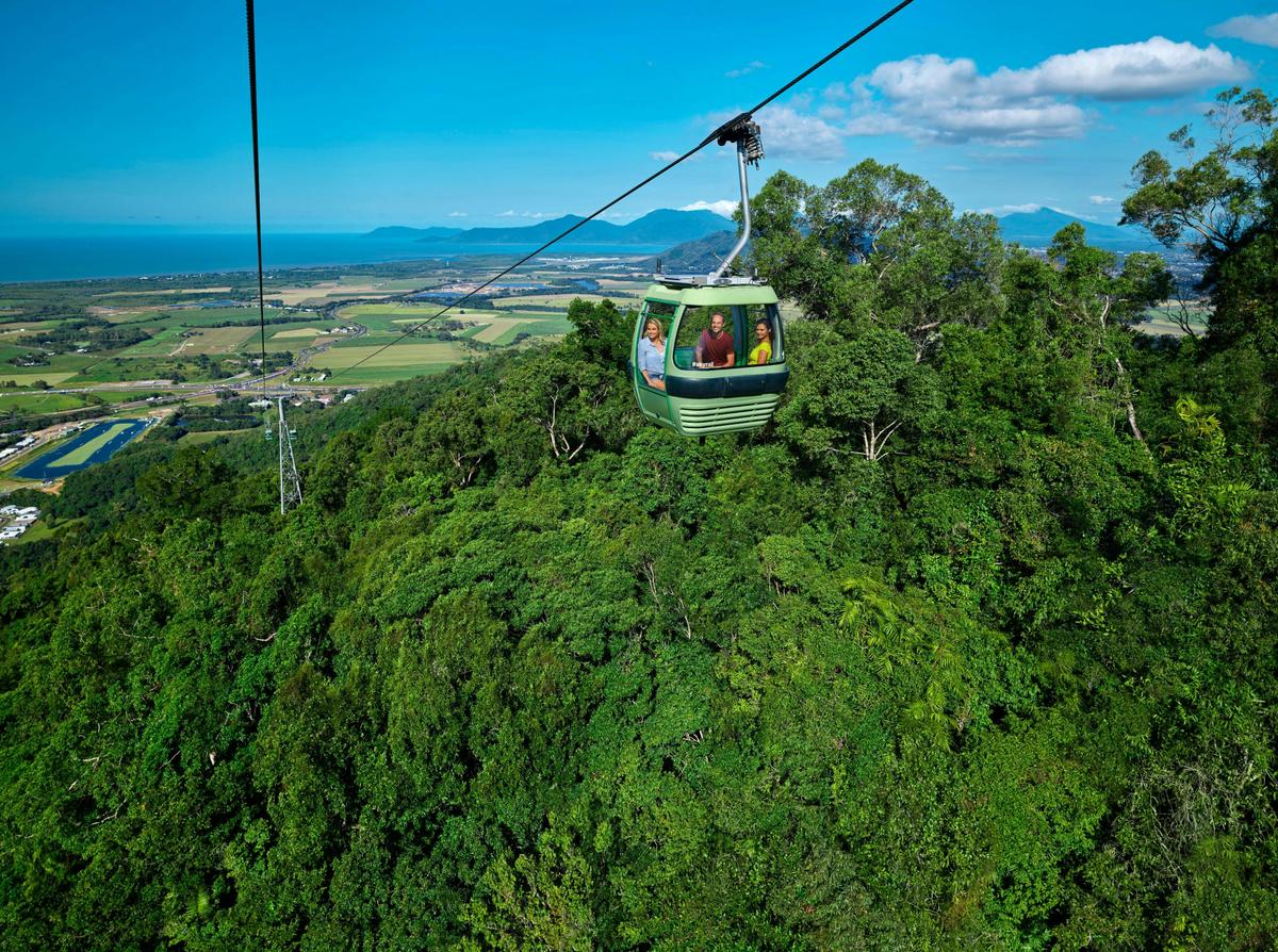 Skyrail Rainforest Cableway - Cairns must do rainforest experience