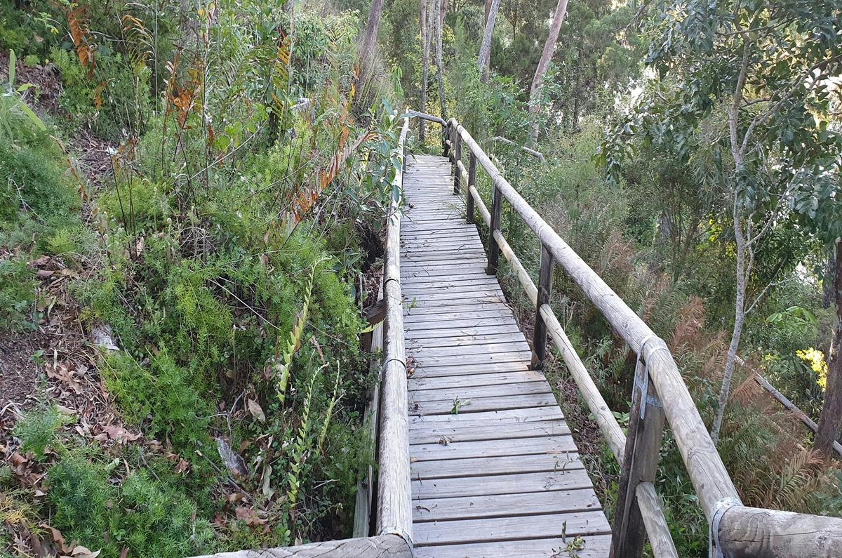 Macquarie Lodge Noosa - Grounds