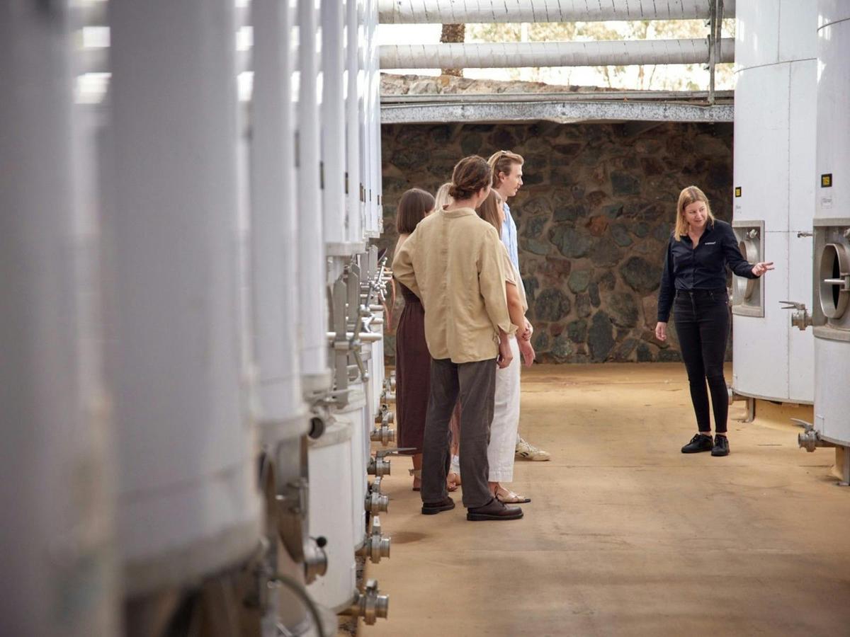 Winery Tour & Taste with 3-Course Lunch at Tuscan Terrace
