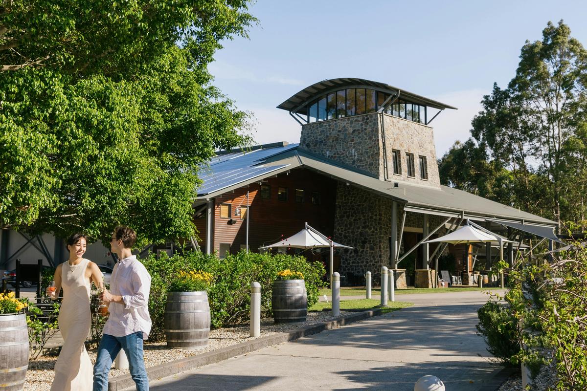 Behind the Scenes Winery Tour and Premium Wine Tasting
