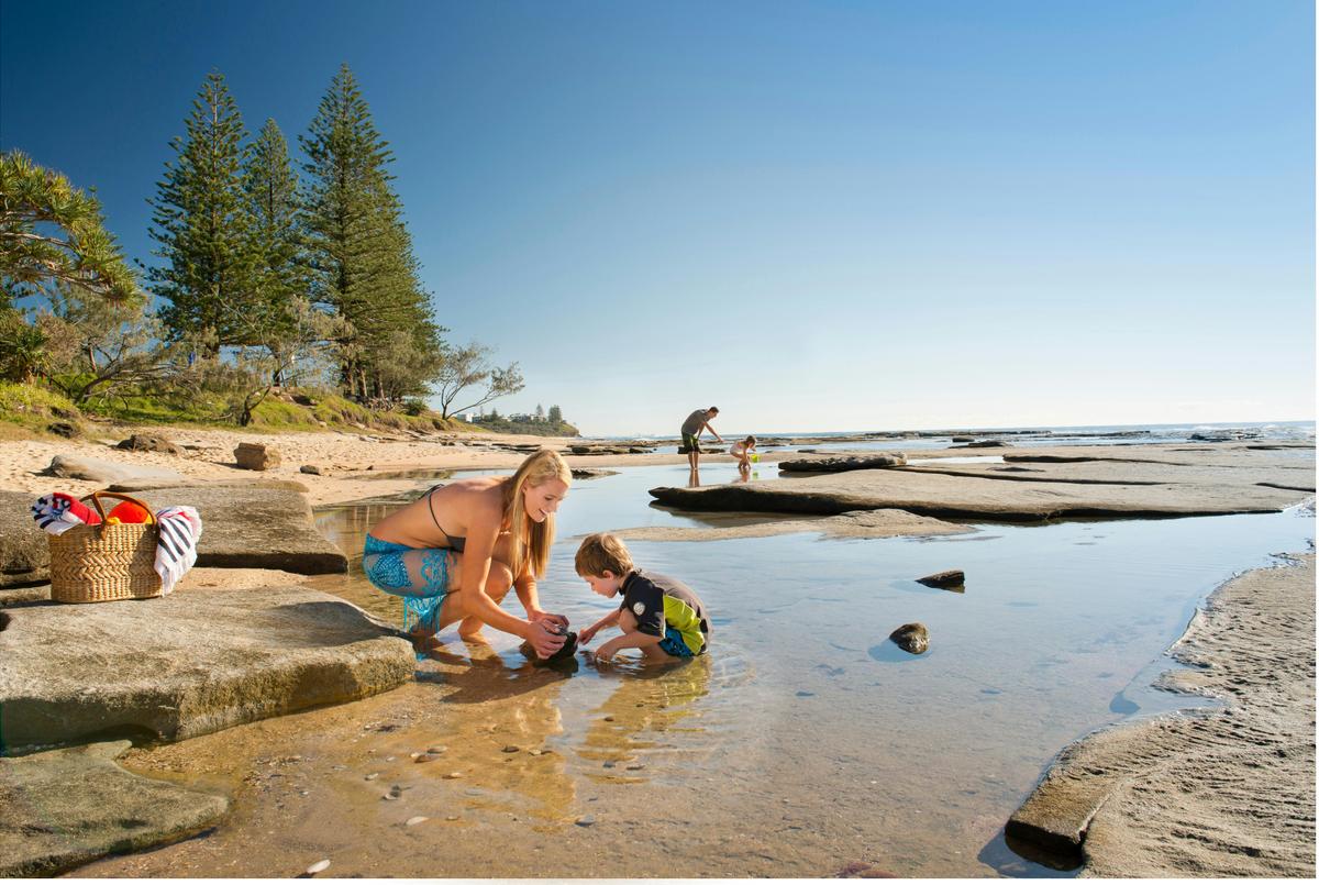 Shelly Beach Caloundra, Sunshine Coast