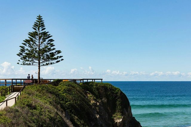 One Tree Point Lookout and Picnic Area