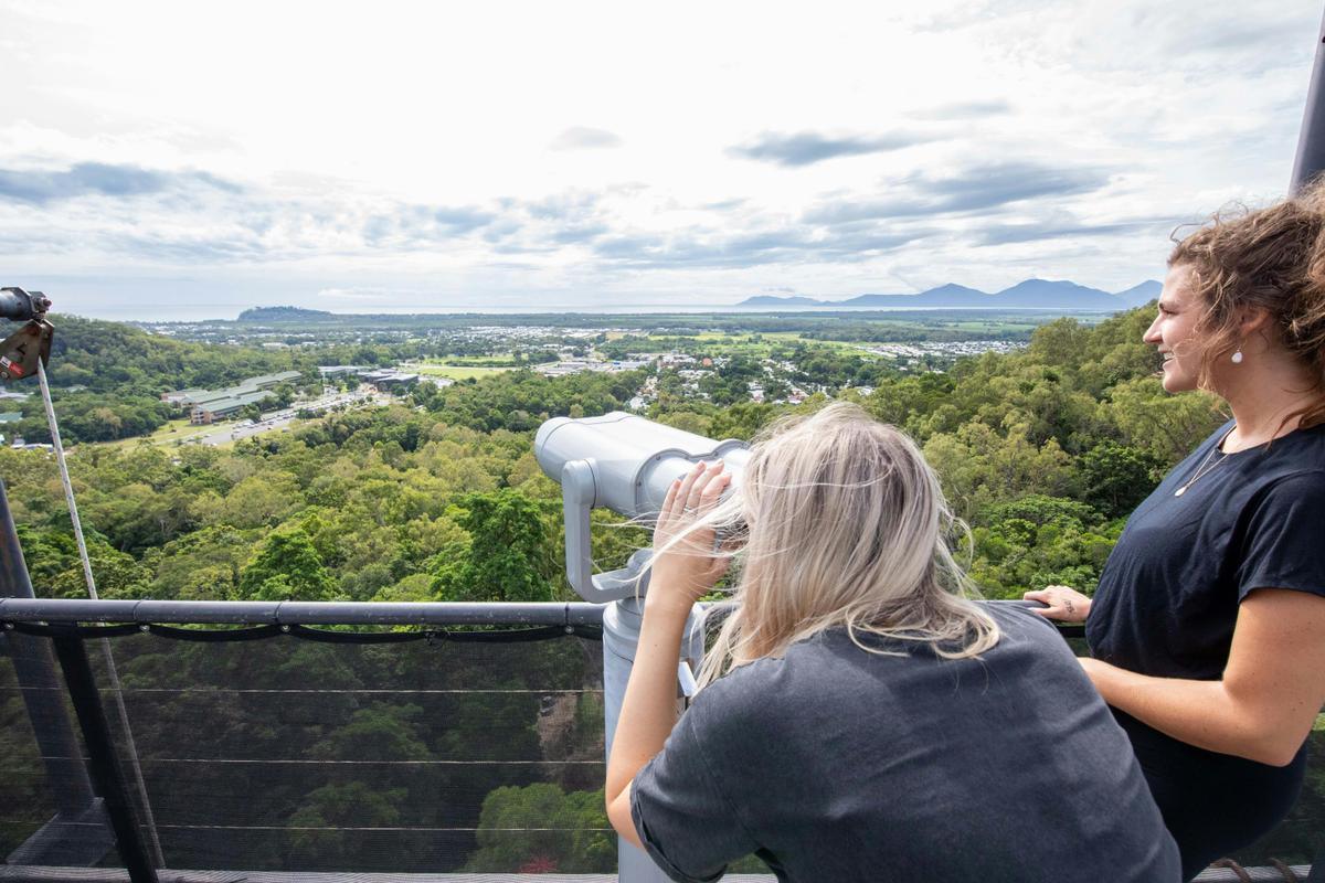 AJ's Tower Climb and Lookout