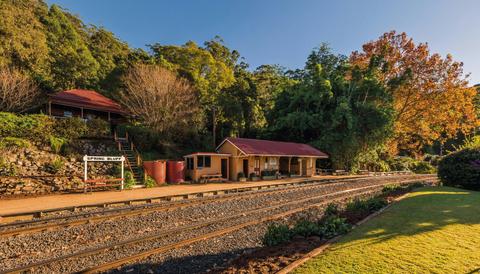 Spring Bluff