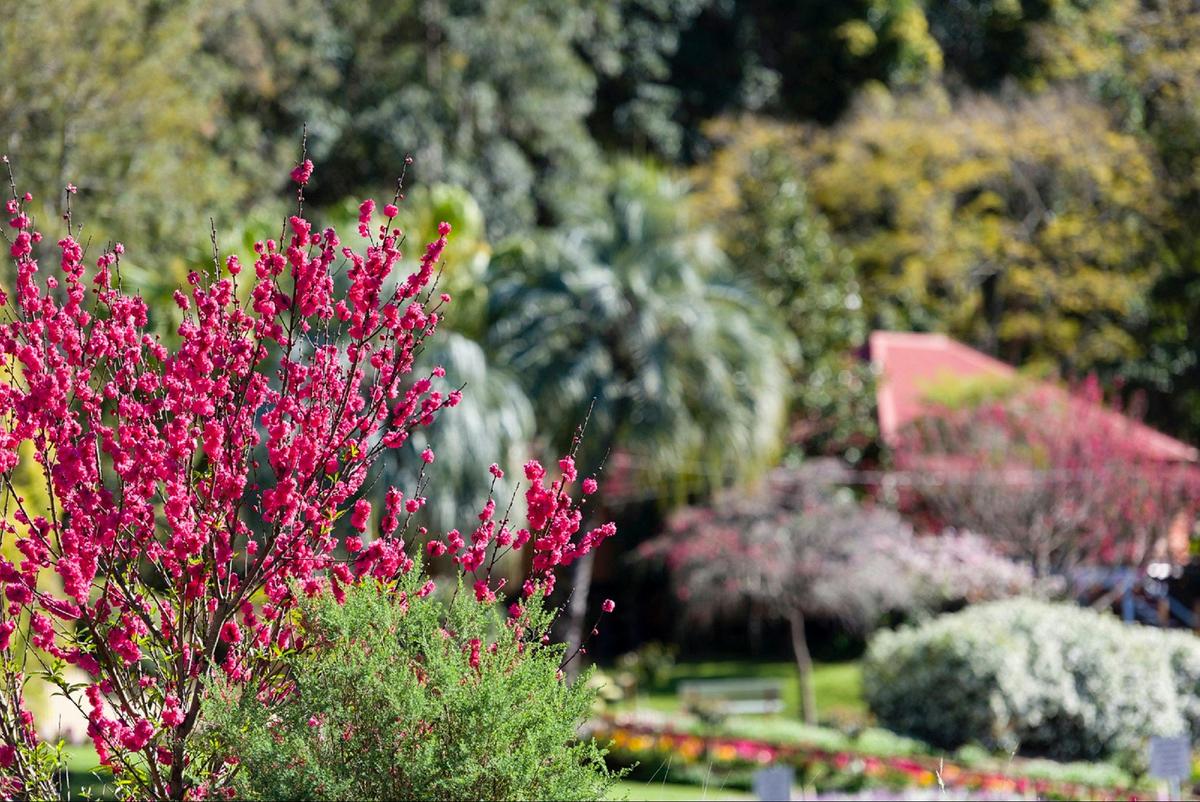 Gardens, Spring Bluff