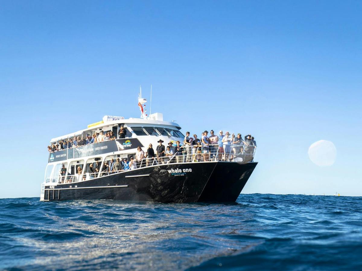 Sunreef's luxury Whale Watching vessel Whale One taking guest to sea the Humpback Whales