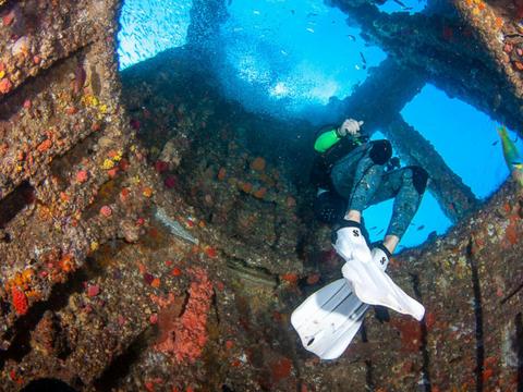Wreck Dive on the HMAS Brisbane