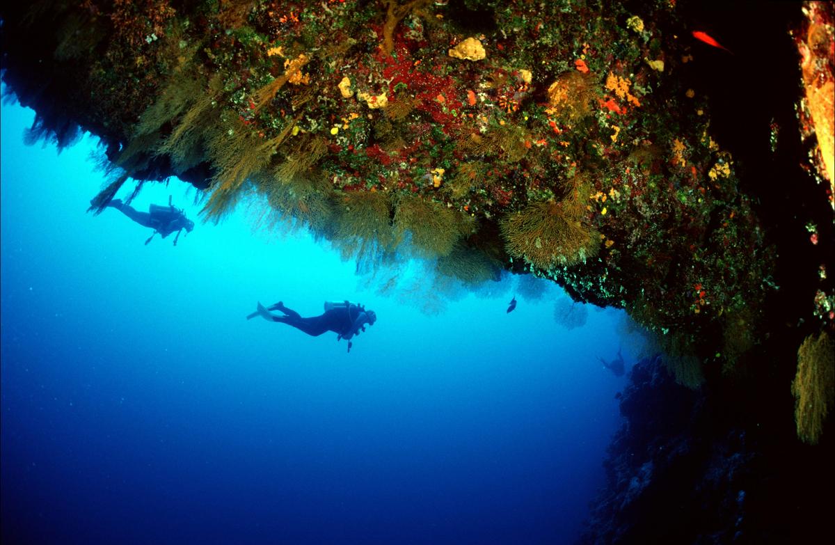 4 Day Coral Sea