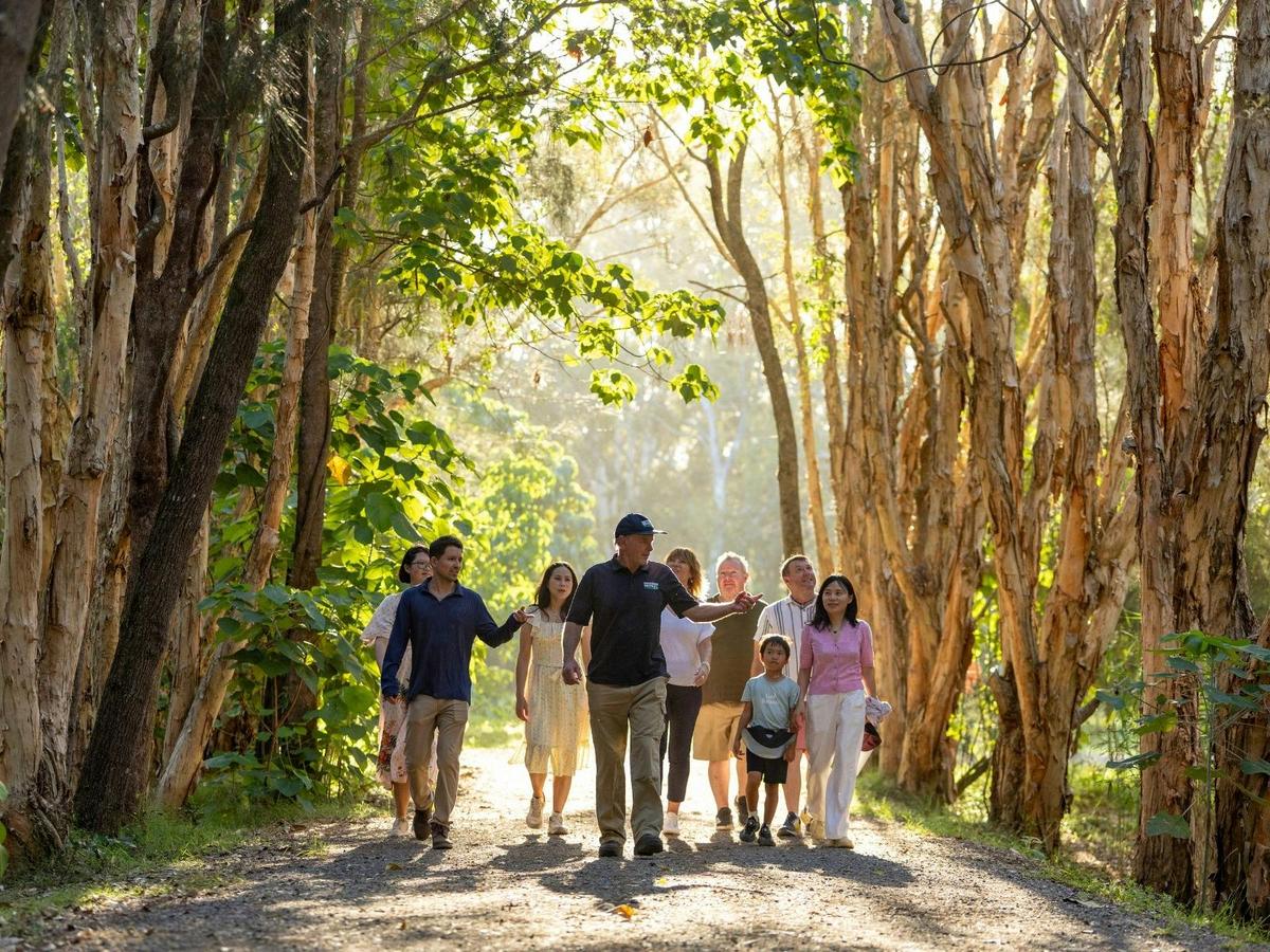 Kangaroos, Koalas and Tamborine Mountain Views