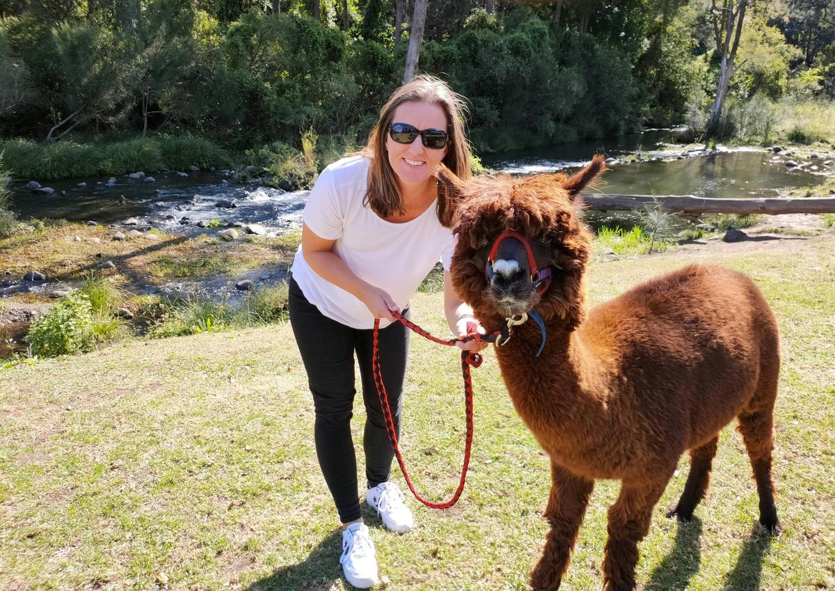 Lamington National Park, O’Reilly’s and Vineyard Tour