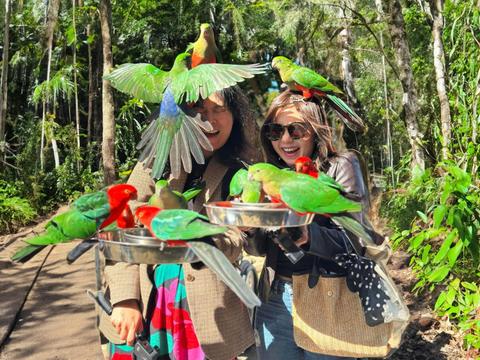 Lamington National Park, O’Reilly’s and Vineyard Tour