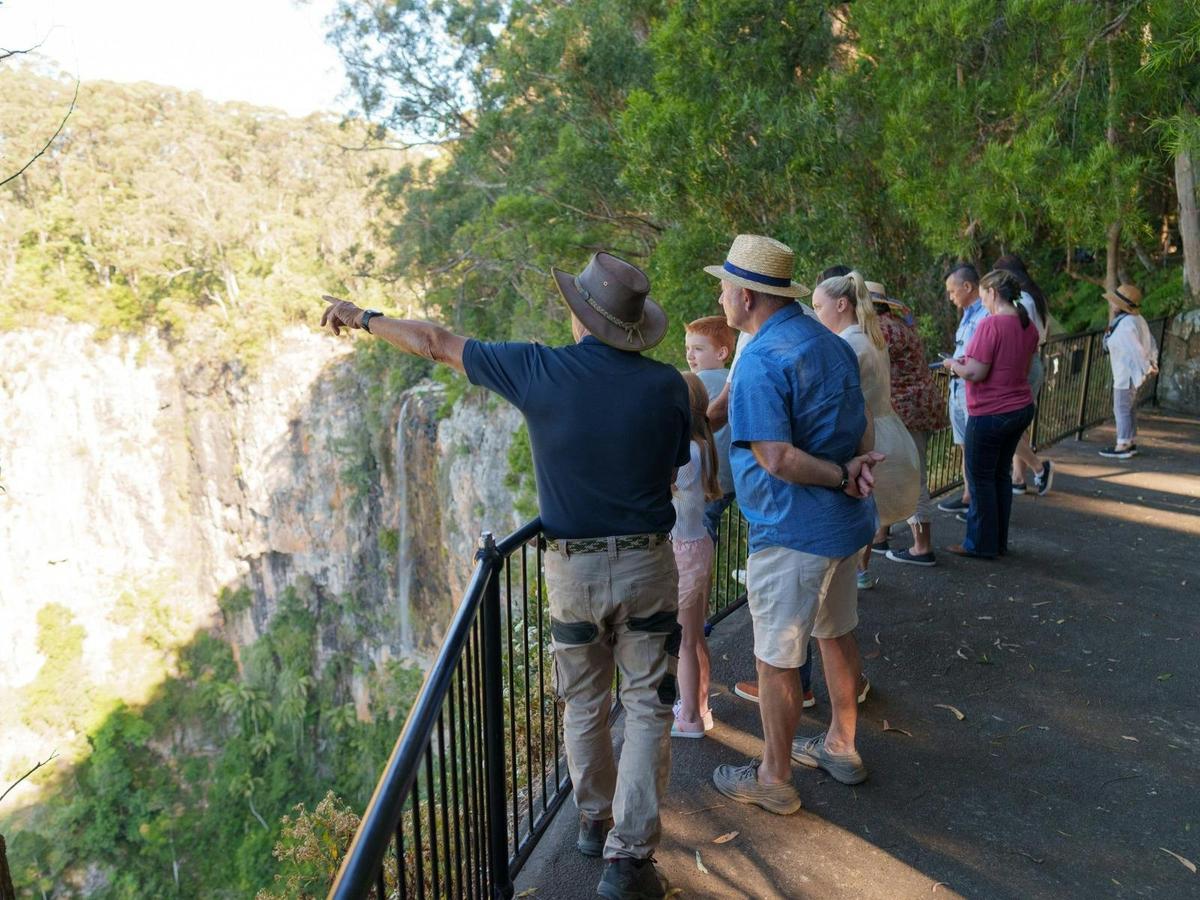UNESCO Springbrook NP, Waterfalls & Natural Bridge Tour