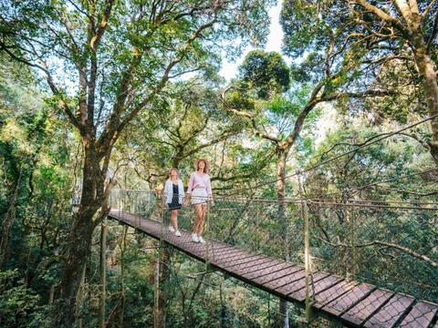 Southern Cross Tours
