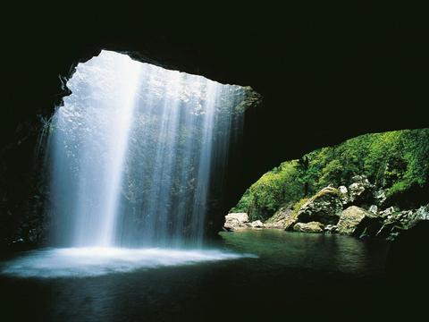 UNESCO Springbrook NP, Waterfalls & Natural Bridge Tour