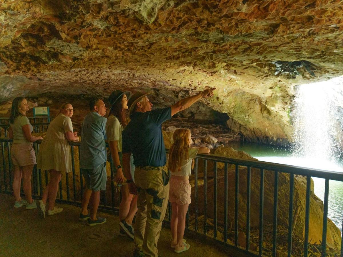 UNESCO Springbrook NP, Waterfalls & Natural Bridge Tour