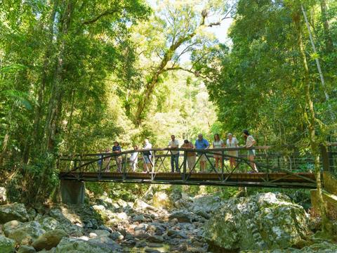 Gold Coast Day Tour (Departs from Brisbane)