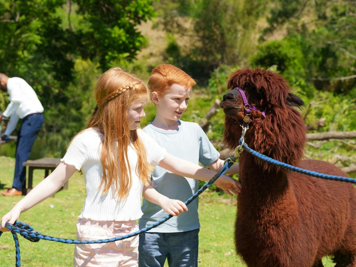 Lamington National Park, O’Reilly’s and Vineyard Tour