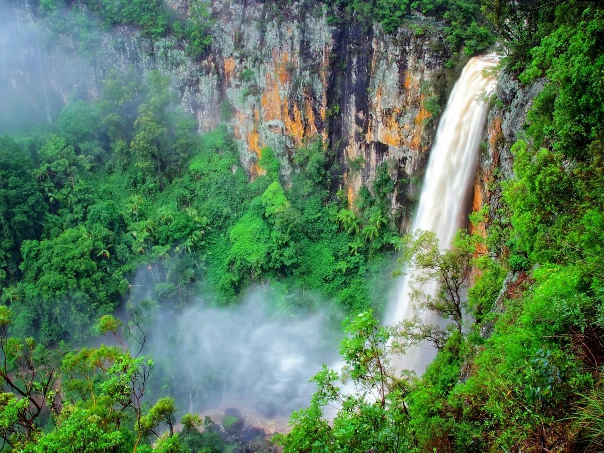 UNESCO Springbrook NP, Waterfalls & Natural Bridge Tour